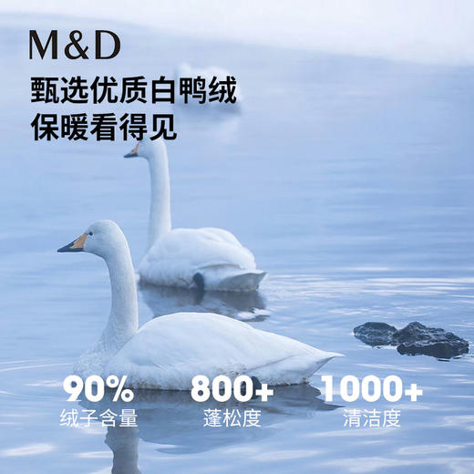 MD名盾羽绒服立领商务男装秋冬新品加厚轻便白鸭绒中青年外套 商品图2