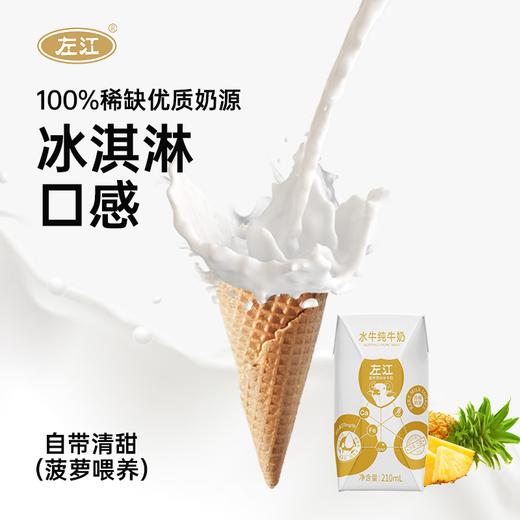 左江水牛奶纯牛奶210ml*10盒/箱 商品图1