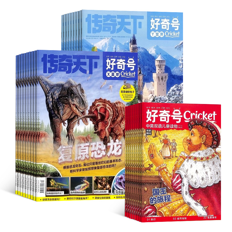 《好奇号》杂志【2025年】全年刊