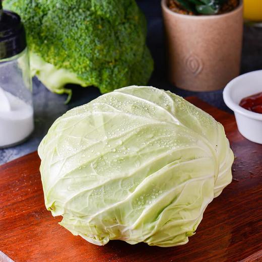 放心莲白 600g/份 安全安心可追溯 伊藤自有品牌 商品图0