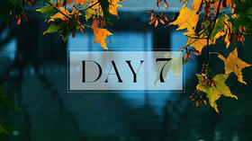 第七天：休息术习练