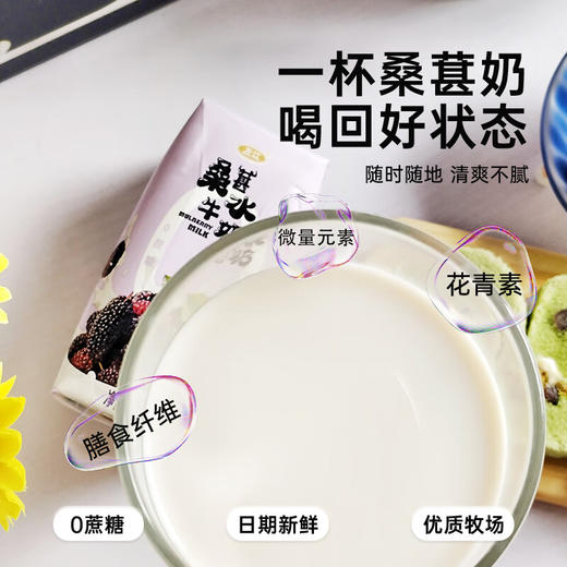 左江桑葚水牛奶210ml*10盒/箱 商品图2