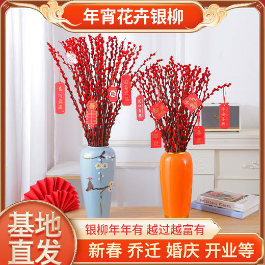【银柳年年有！越过越富有】银柳真花鲜枝客厅干花摆件红色年宵花卉水培植物室内干枝红柳，招财旺财银柳鲜切枝。ry 商品图0