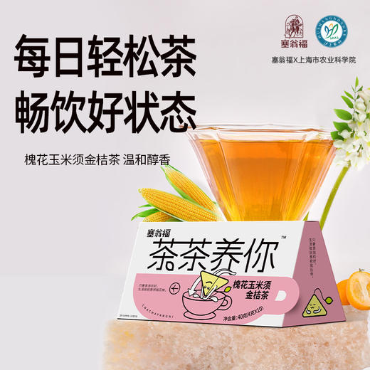 【绮】塞翁福 茶茶养你  槐花玉米须金桔茶40克 商品图1