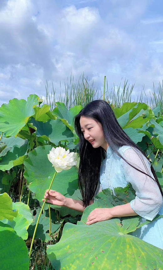 仅8饼！2019【荷香老树】荷香灵动富有层次，轻逸绝尘 商品图0