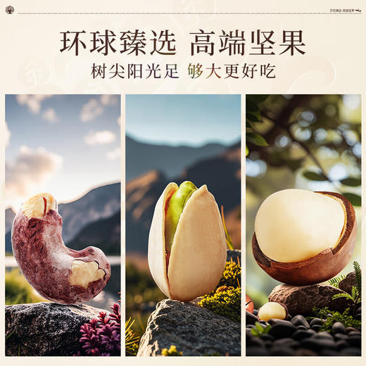 臻味环球荣耀高端坚果礼盒2.015kg 商品图3