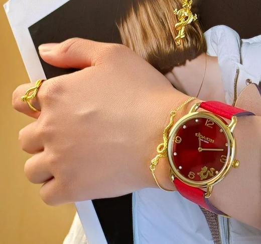 ‼️破价机制‼️直降千元！【蔻驰2025年蛇年限定腕表】轻松戴出高级感 商品图3