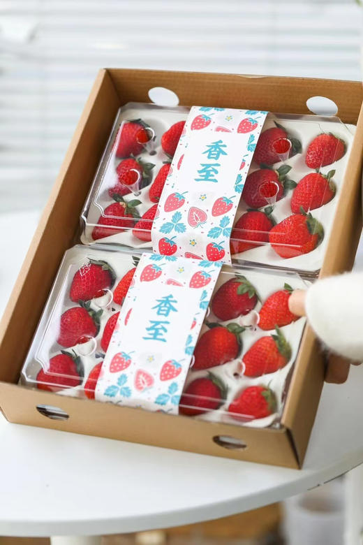 【草莓】辽宁丹东草莓，成熟度好，香甜味足，入口很好吃！ 商品图4