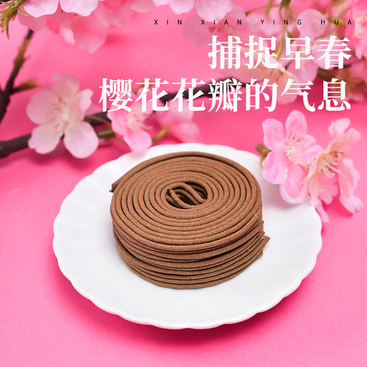 年份窖藏 木盒《樱落成诗 盘香》甜淡清雅 樱花 商品图1