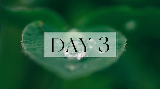 第三天休息术练习 商品图0