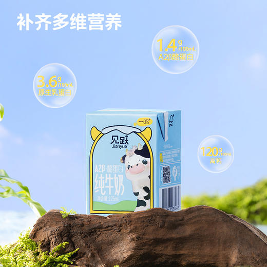 [屁侠推荐]一鸣A2-酪蛋白纯牛奶125mL(10盒装*4) 商品图1