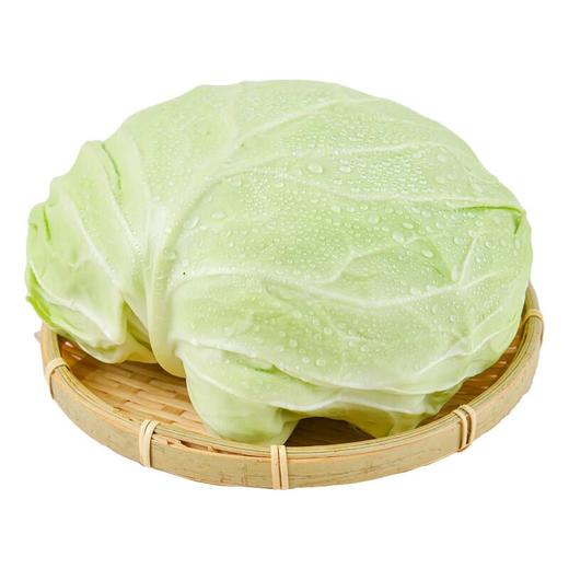 放心莲白 600g/份 安全安心可追溯 伊藤自有品牌 商品图4