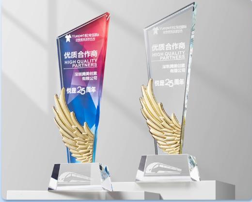 高档奖杯定制水晶奖杯员工周年颁奖礼纪念品活动比赛创意奖杯 商品图0