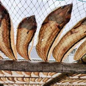 风鳗/鳗鱼鲞/墨鱼鲞 海鲜干货 下饭 百搭海味