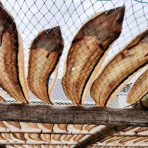 风鳗/鳗鱼鲞/墨鱼鲞 海鲜干货 下饭 百搭海味 商品图0