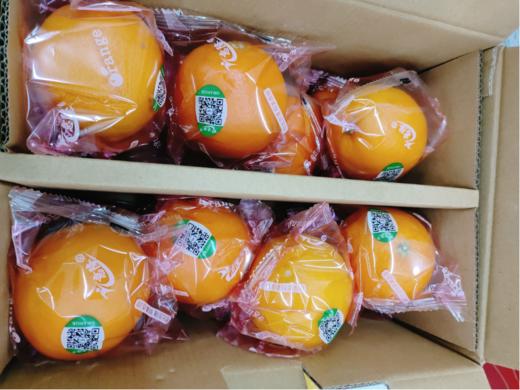 意隆香橙（赣南脐橙）一箱 商品图1