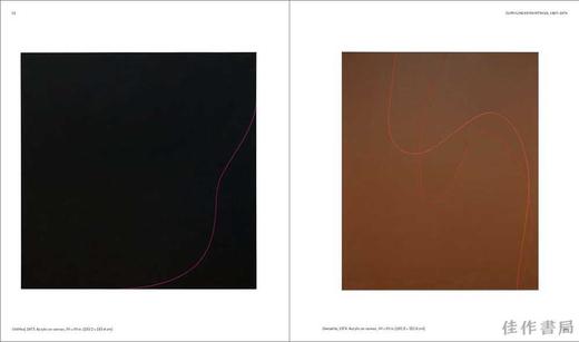 Virginia Jaramillo: Principle of Equivalence / 弗吉尼亚·哈拉米略：等价原则 商品图4