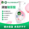 滴露泡沫抑菌洗手液 商品缩略图2