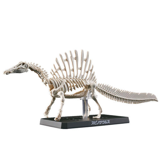 万代 Bandai 恐龙拼装模型 棘龙BANC4573102654274 商品图1