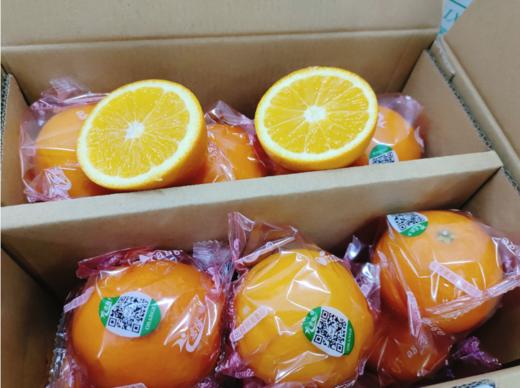 意隆香橙（赣南脐橙）一箱 商品图3