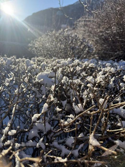 象牙山门票+温泉单人体验价 商品图6