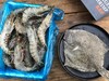 船冻黑虎虾  丰富虾青素 鲜甜肉紧 口感超赞  2.5斤/盒 商品缩略图2