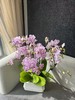 蝴蝶兰 | 樱花 商品缩略图0