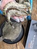 船冻黑虎虾  丰富虾青素 鲜甜肉紧 口感超赞  2.5斤/盒 商品缩略图5