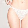 3条98元好奇蜜斯性感超薄蕾丝低腰三角内裤女抗菌纯棉裆纯欲舒适  梦露内裤 商品缩略图0