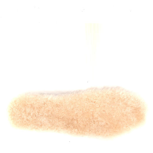 2楼UGG1101442鞋垫吊牌价299 商品图0