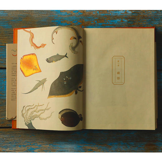 海错图笔记·叁 张辰亮 博物杂志科普书解读故宫清宫藏品图书 商品图2