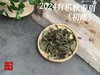 【好茶推荐】2024有机秋寿眉《初晞》，甜花香馥郁、茶汤冰沁可人 商品缩略图5