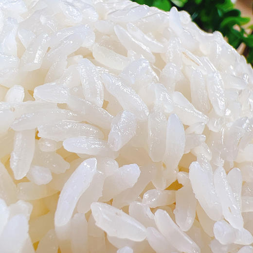 【2025年新米礼盒】美裕五常大米易拉罐氮气锁鲜包装300g*8罐礼盒 商品图2