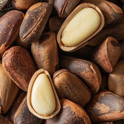 菜菜家笨炒松子/榛子|饱满油润脆嫩，笨炒非油炸 商品图6