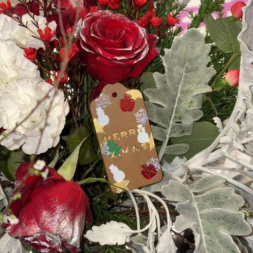 【500积分兑】COACH-圣诞皮牌 商品图4