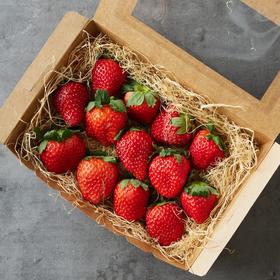 章姬草莓 Zhangji Strawberry 280g/盒