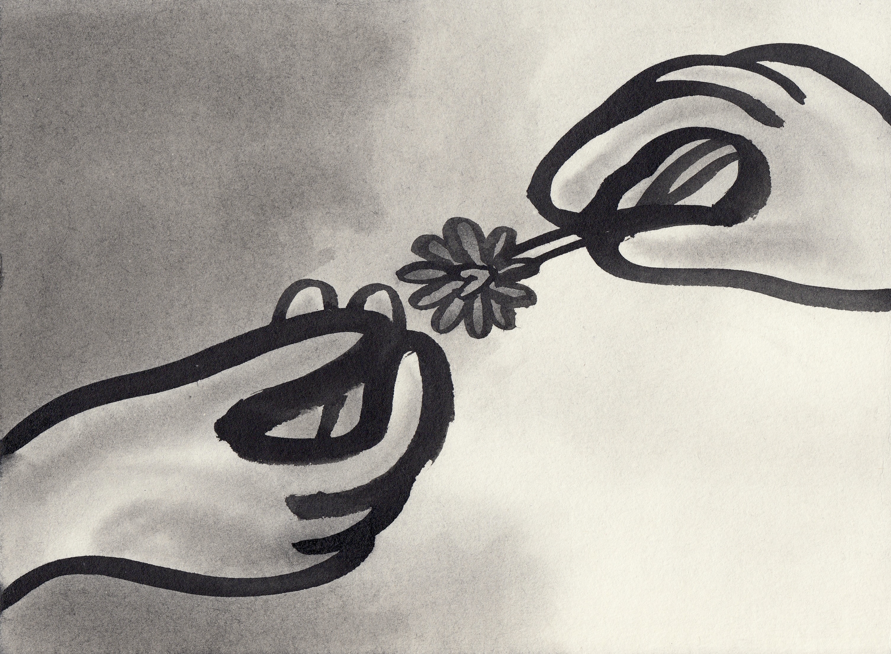 纸本水墨｜感恩之花_谁生气 就送谁 一朵花