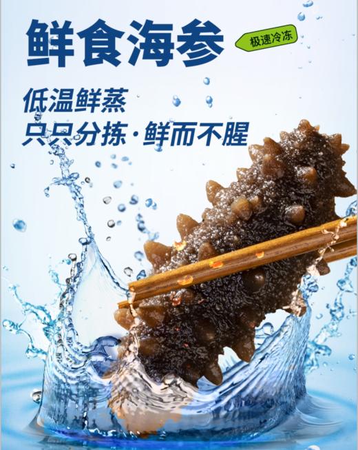 0593【国企严选，山海食材】海参500g 商品图0
