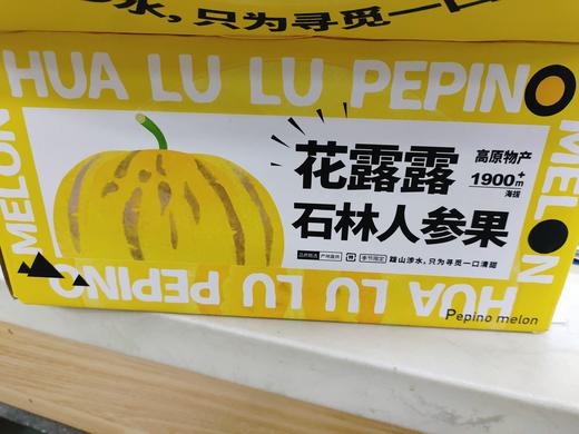 石林人参果一箱 商品图0