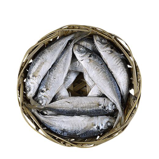 【寻味潮汕】巴浪鱼饭/花仙鱼饭3斤冰鲜顺丰包邮尔尼沙虾即食汕头达濠鱼饭 商品图3