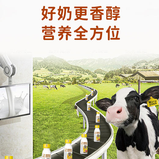 轻上香蕉火龙果奇亚籽奶昔富含膳食纤维发酵酸奶饮品 商品图5