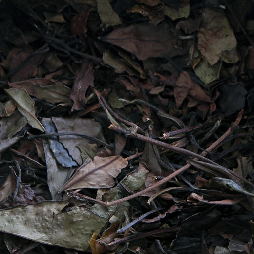 2019老枞寿眉 福建政和白茶千米海拔高山茶 350克量贩装（三联生活爱茶推荐） 商品图4