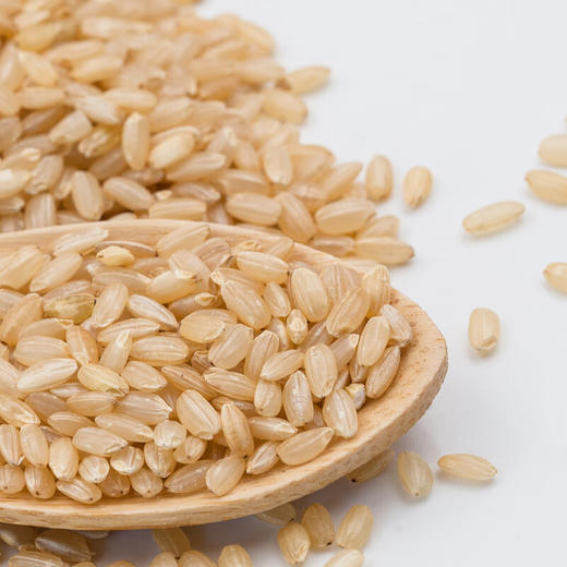 米妹妹九州粮仓大礼包5kg 商品图3