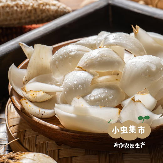 【2025年甜蜜上市】生态高原雪百合 1斤/2斤 | 合作农友生产，产自云南香格里拉，生产者：李忠青 *【公平贸易农人定价】 商品图6
