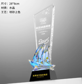 扬帆远航年会奖杯定制定做水晶创意新款玻璃五角星优秀员工团队高级感奖牌