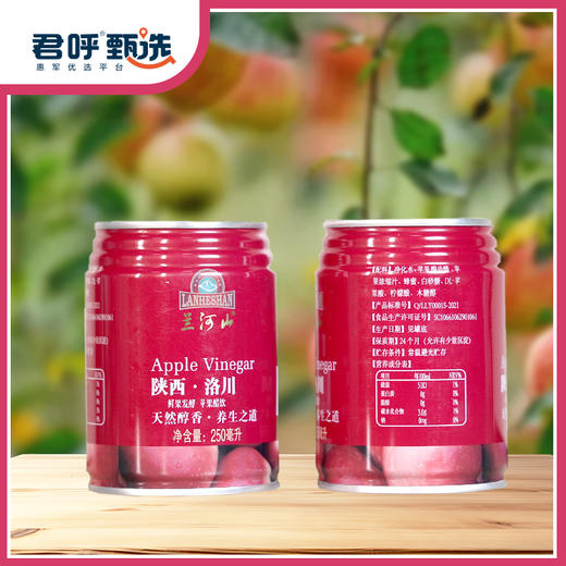 君呼甄选  陕西洛川苹果饮 一罐250ml    6瓶起售 天然醇香 果香浓郁香甜可口 商品图2
