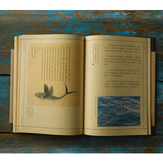 海错图笔记贰  博物小亮海错图第2弹 张辰亮著  商品图1