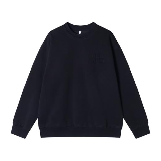 WY484秋冬季时尚个性纯色立体字母圆领套头卫衣休闲百搭运动上衣 商品图3