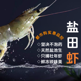 热销推荐「自营」山东无棣高虾青素 盐田虾 ( 通过放射性安全复检)