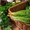 新鲜蔬菜 精品香菜 150g 商品缩略图1